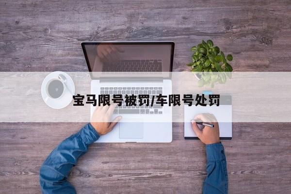 宝马限号被罚/车限号处罚