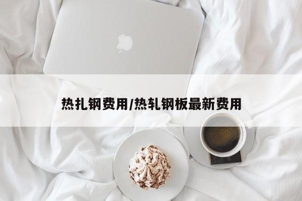 热扎钢费用/热轧钢板最新费用